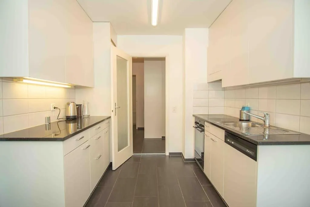 Modern 3-Bedroom Apartment In City Centre Basilea Suiza